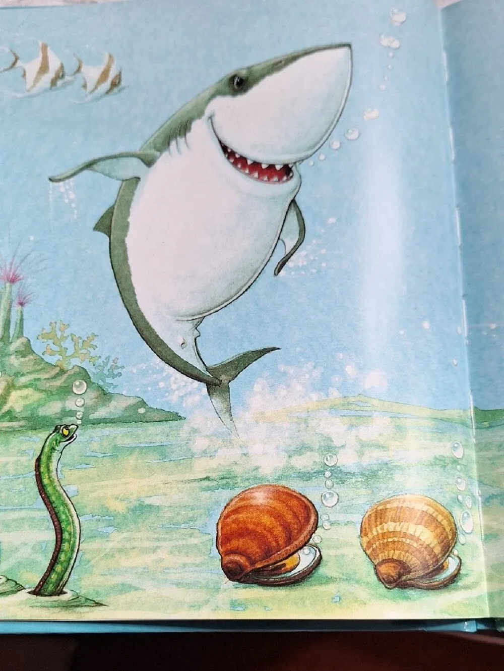 Gilbert The Great Plush Shark Toy And Storybook,Gray and Cream Soft Stuffed Fish